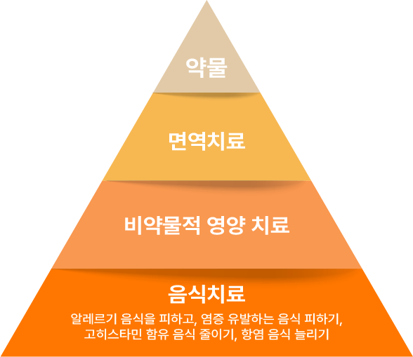 알레르기 치료에 관한 인포그래픽 이미지. 아래부터 음식치료, 비약물적 영양치료, 면역치료, 약물 로 피라미드 형태를 이루고있다