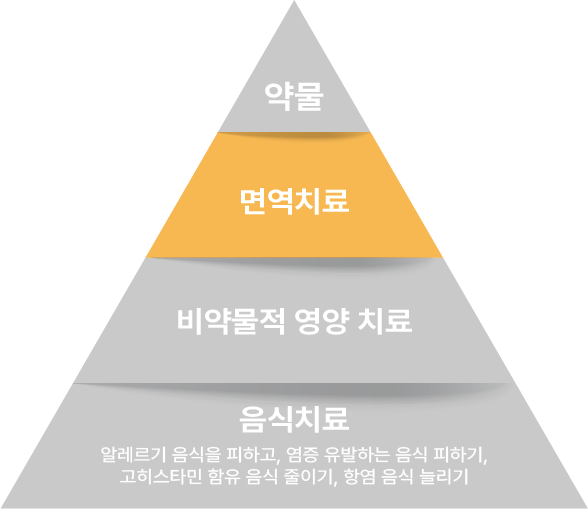 앞서 나온 피라미드 형태의 인포그래픽 이미지에서 면역치료 부분만 강조되어 있다